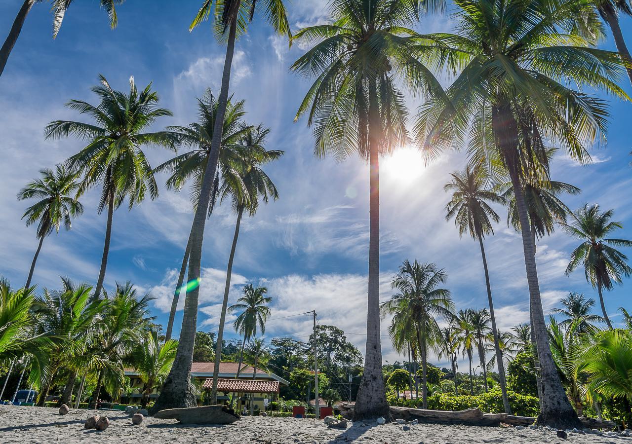 Hotel Manuel Antonio Dış mekan fotoğraf