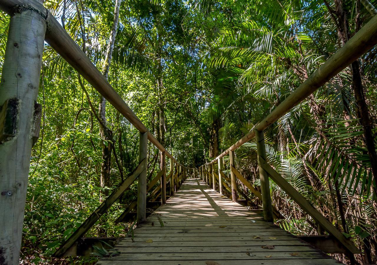Hotel Manuel Antonio Dış mekan fotoğraf