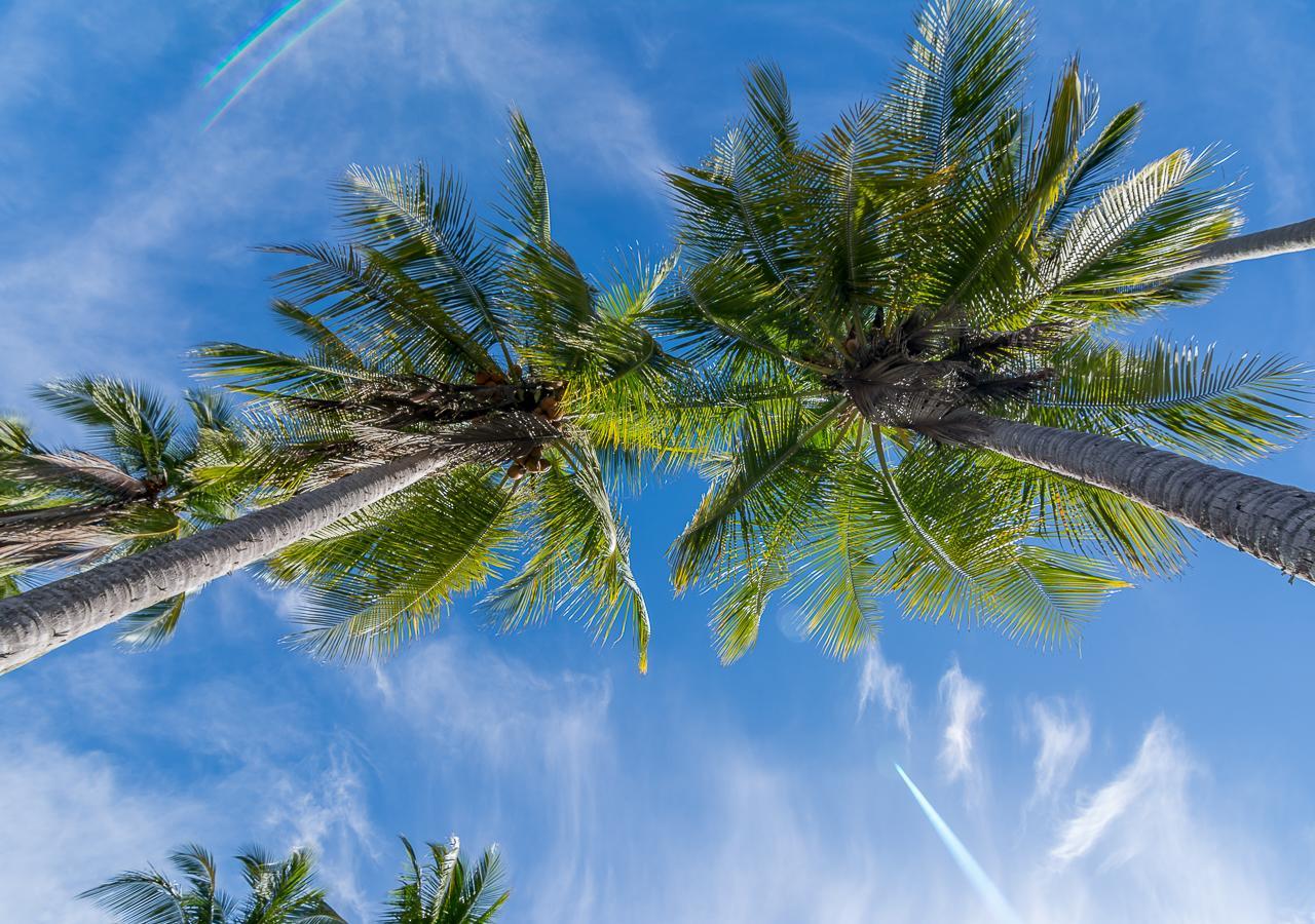 Hotel Manuel Antonio Dış mekan fotoğraf