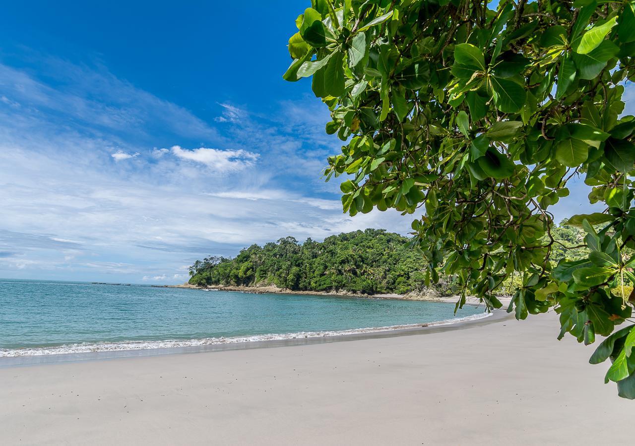 Hotel Manuel Antonio Dış mekan fotoğraf